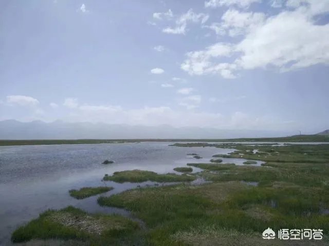 如何评价《2018中国好声音》的第七期节目？