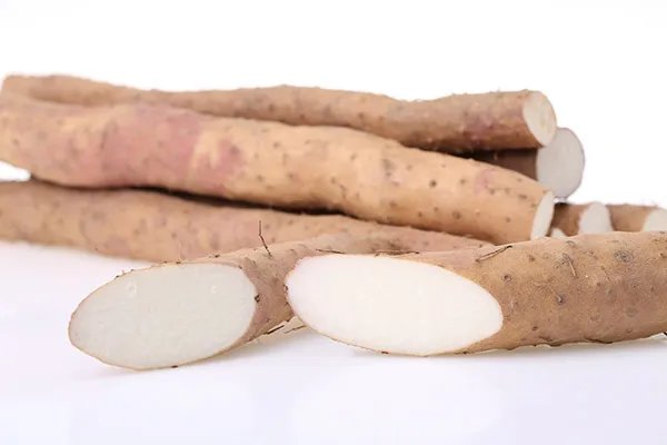 适合冬天喝的粥有哪些