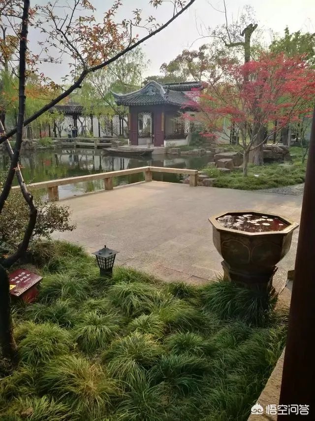 林志玲回应言承旭认爱“说的好像不是我”，他们真的没有可能了吗？