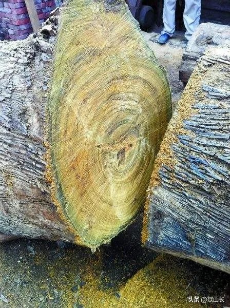 全球十大最名贵木材有哪些？