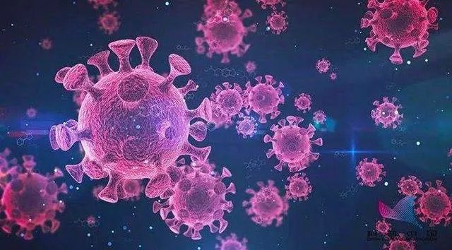 查尔斯王子确诊新冠肺炎意味着什么？