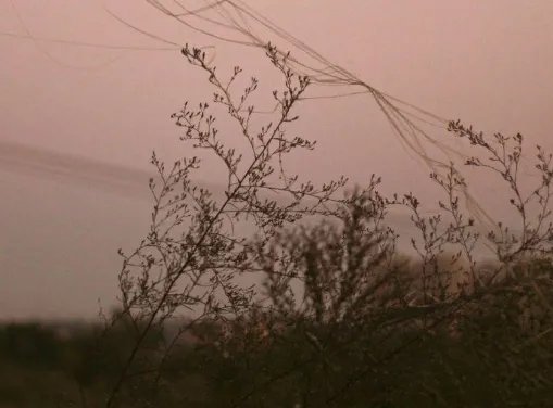 林雨墨,周灵是什么电视？