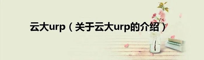 云大urp（关于云大urp的介绍）