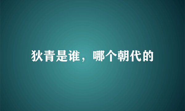 狄青是谁，哪个朝代的