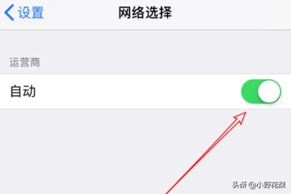 iphone怎么改运营商？
