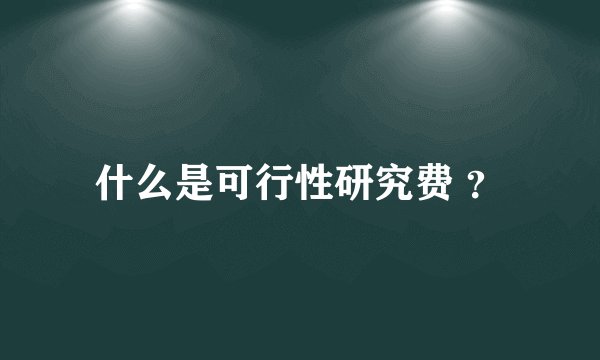 什么是可行性研究费 ？