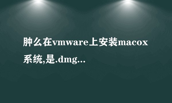 肿么在vmware上安装macox系统,是.dmg的系统安装文件