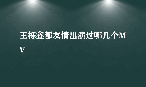 王栎鑫都友情出演过哪几个MV