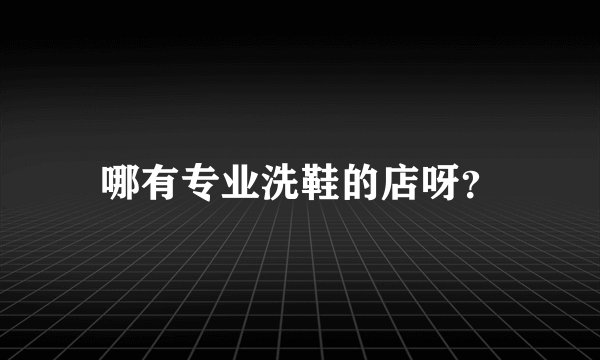 哪有专业洗鞋的店呀？