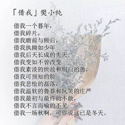借我执拗如少年是什么意思