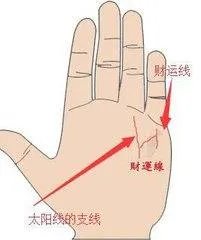 哪几种手相是富贵命