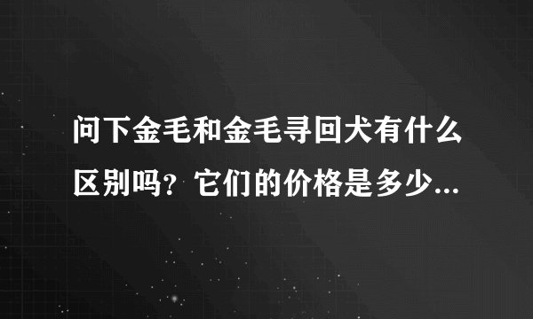 问下金毛和金毛寻回犬有什么区别吗?它们的价格是多少?哪里有卖的啊?哪里的最有保障?郑州有吗?