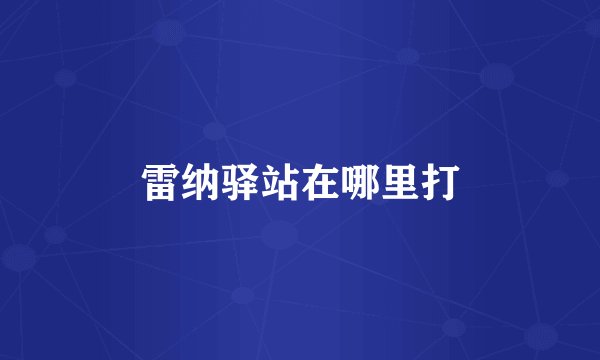 雷纳驿站在哪里打