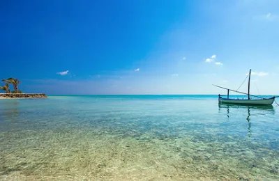 上海周边二日游有哪些路线值得推荐？