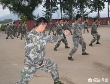 如何评价吴京凭借《战狼2》获得华表奖最佳男演员奖？