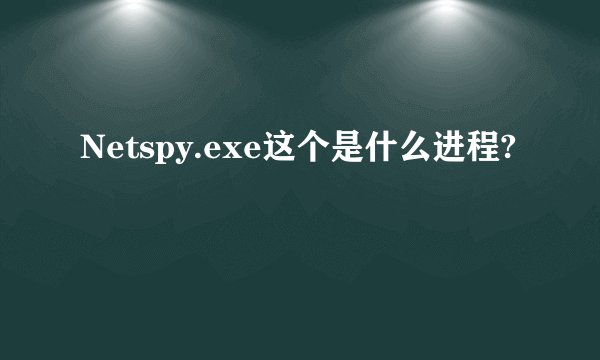 Netspy.exe这个是什么进程?
