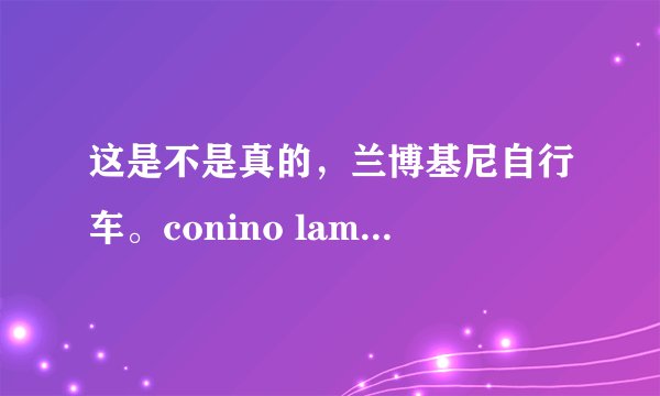 这是不是真的，兰博基尼自行车。conino lamborghini下图是第二十届中国国际自行车展？