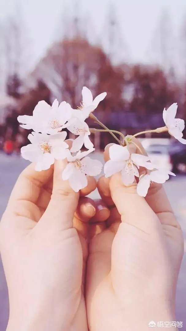 有没有粉色系头像？