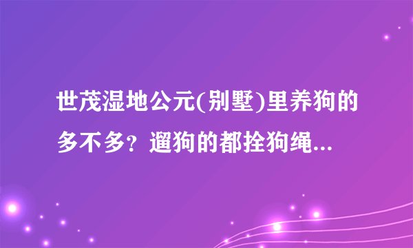 世茂湿地公元(别墅)里养狗的多不多？遛狗的都拴狗绳吗？有流浪宠物吗？