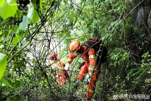 女大学生在张家界翼装飞行失踪,定位和手机都没带,生还的可能性大吗?