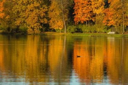 2019年立秋是早秋还是晚秋？早立秋凉飕飕晚立秋热死牛？