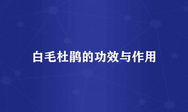 白毛杜鹃的功效与作用