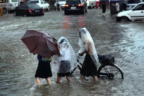 印度青蛙为求雨结婚，结婚后下雨这到底是运气好还是有什么不为人知的秘密？