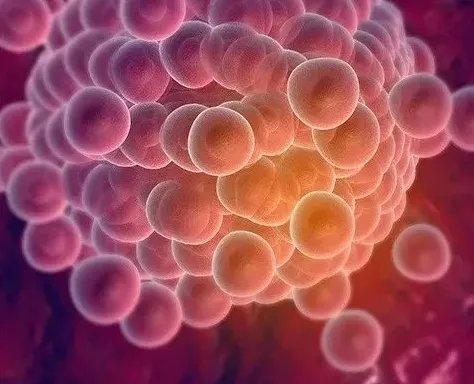 郑州妇幼供卵试管多少钱？附上供卵三代试管