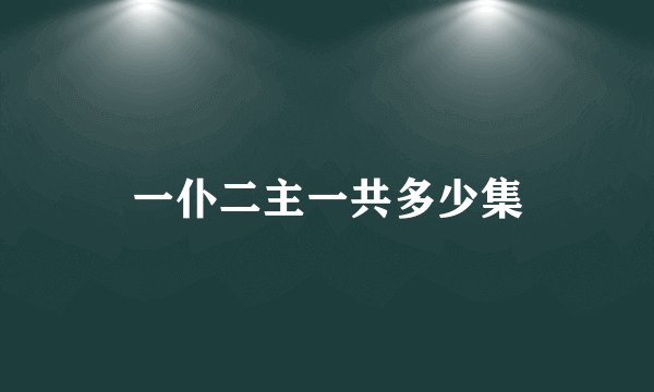 一仆二主一共多少集