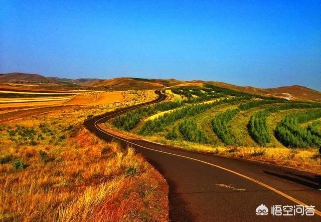 八九月份适合去哪里旅游？