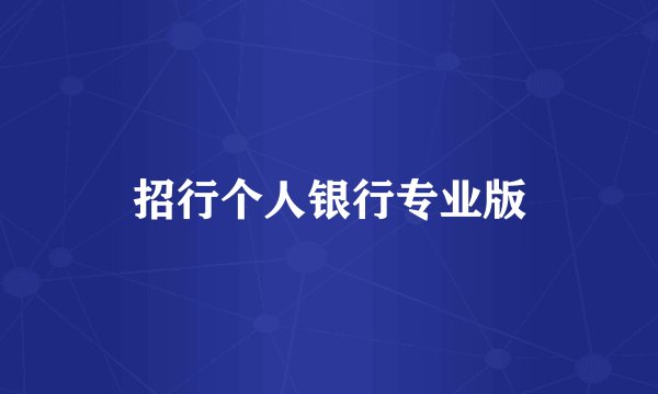 招行个人银行专业版