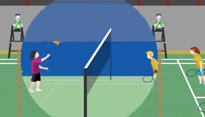 一只羽毛球上通常会有几根羽毛 一个羽毛球上一般有几根羽毛