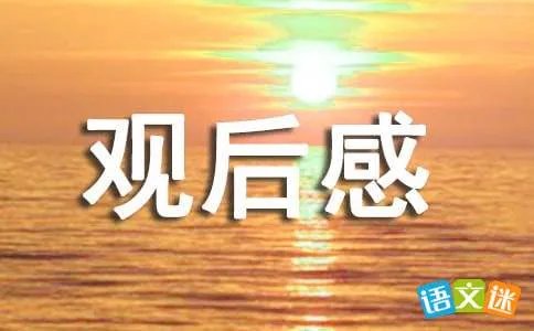 全运会开幕式观后感