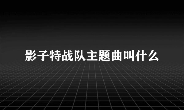 影子特战队主题曲叫什么