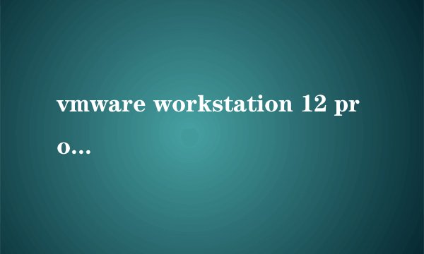 vmware workstation 12 pro 最新版本号是多少