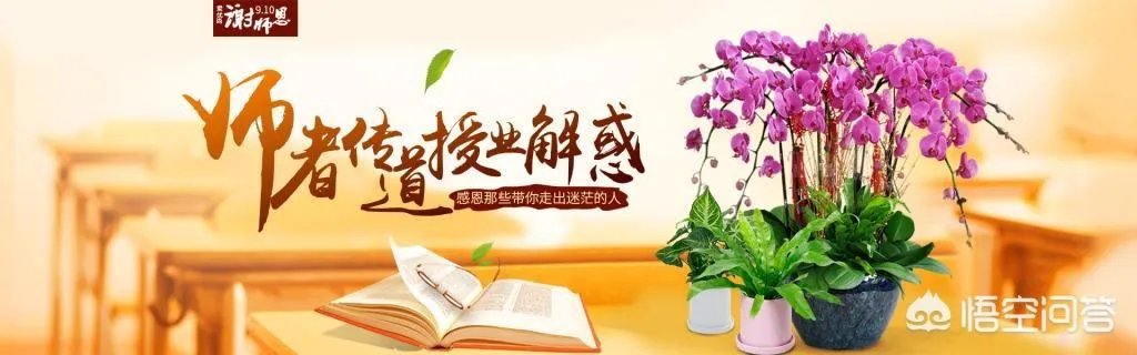 九月十号是教师节，有人提出孔子的诞辰日作为教师节，为此你怎么看？