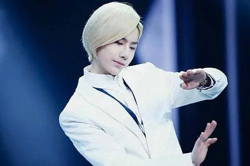 为什么王一博可以主持天天向上？