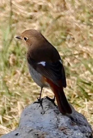 男生爱拍什么风格照片？ ？