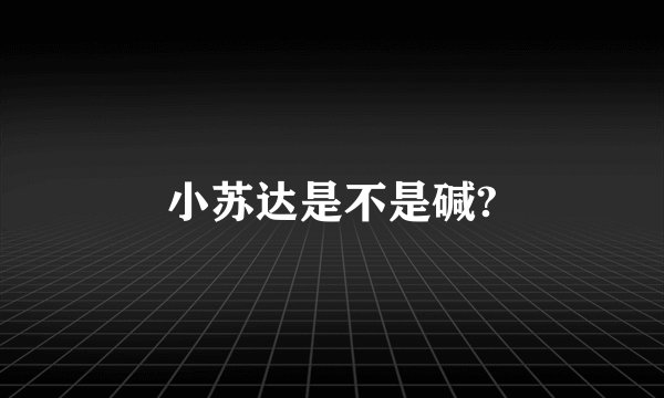 小苏达是不是碱?