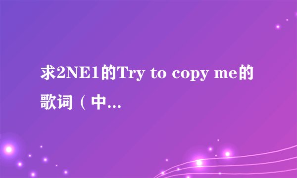 求2NE1的Try to copy me的歌词（中文＋罗马音译＋韩文）
