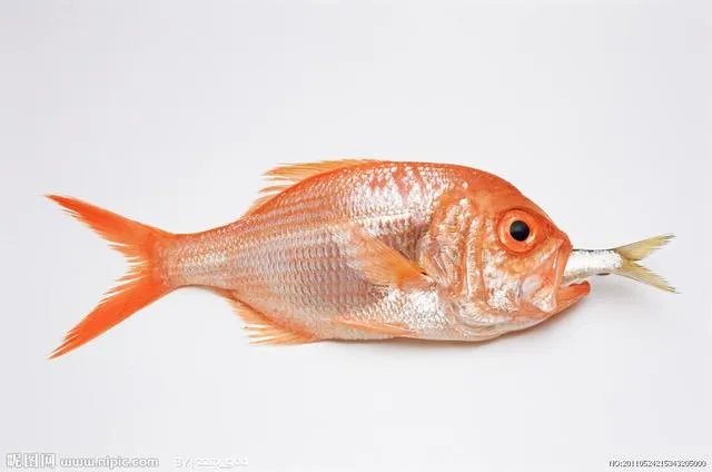 中国首例人体冷冻完成，你怎么看？