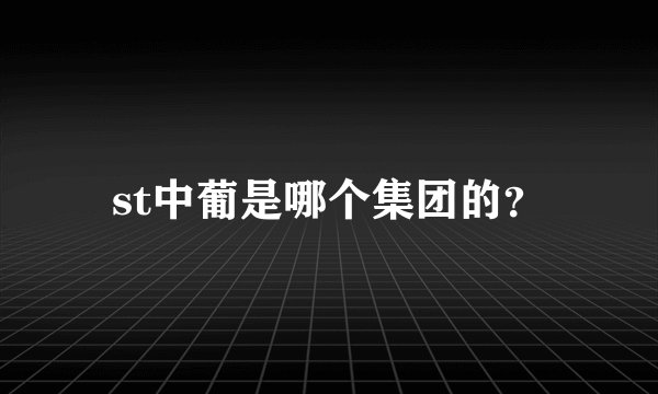 st中葡是哪个集团的？