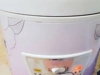 电饭锅可以煮绿豆汤吗