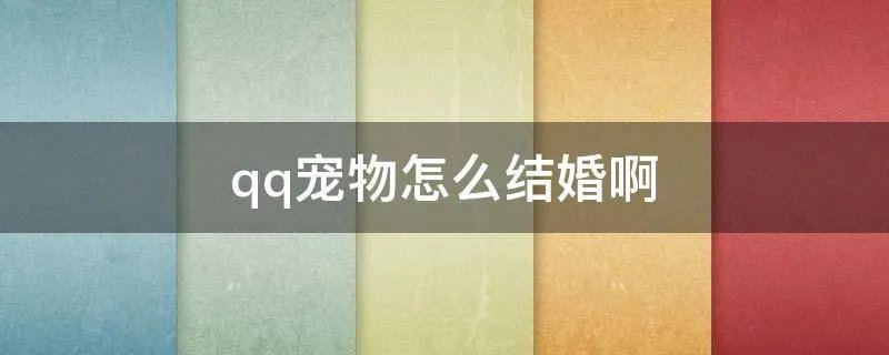 qq宠物怎么结婚啊