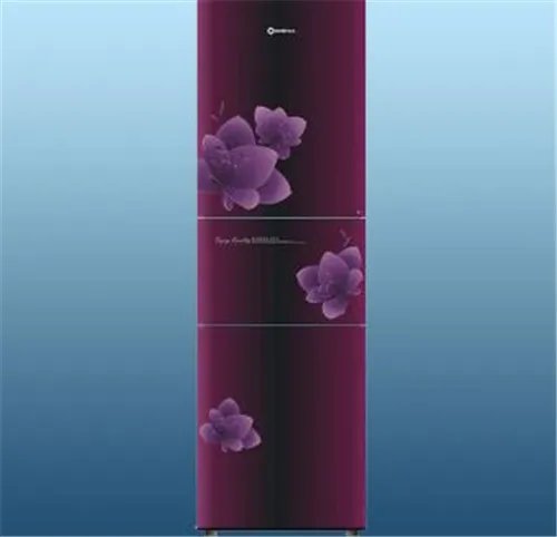 索伊冰箱报价合理吗 索伊冰箱好在哪