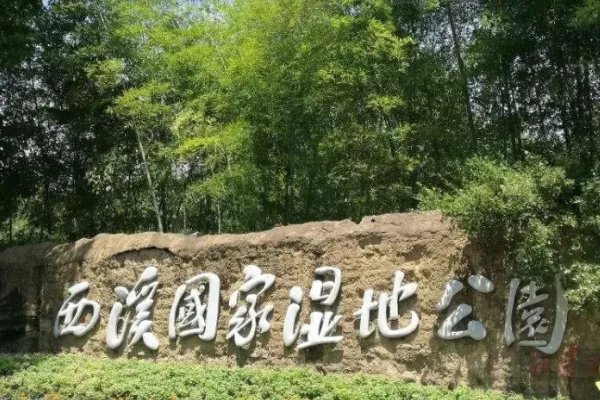 上海周边二日游有哪些路线值得推荐？