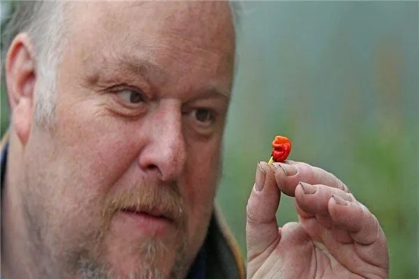 滴滴司机迷晕乘客直播，专家为什么却说不存在此类迷药？