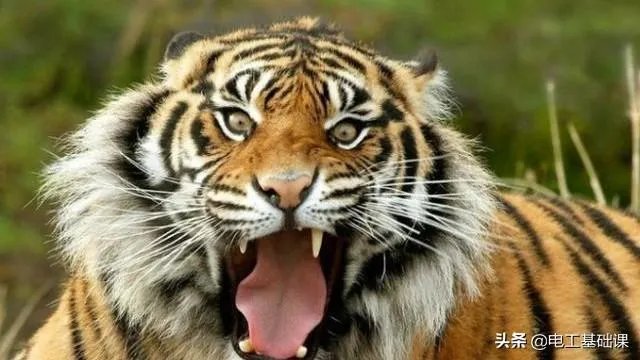 近日网传贵州山里出现不明来源怪声，怎么用科学来解释？