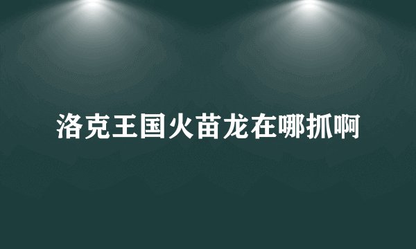 洛克王国火苗龙在哪抓啊