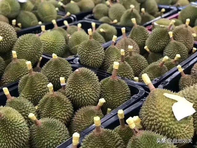 越南什么时候可以入境中国